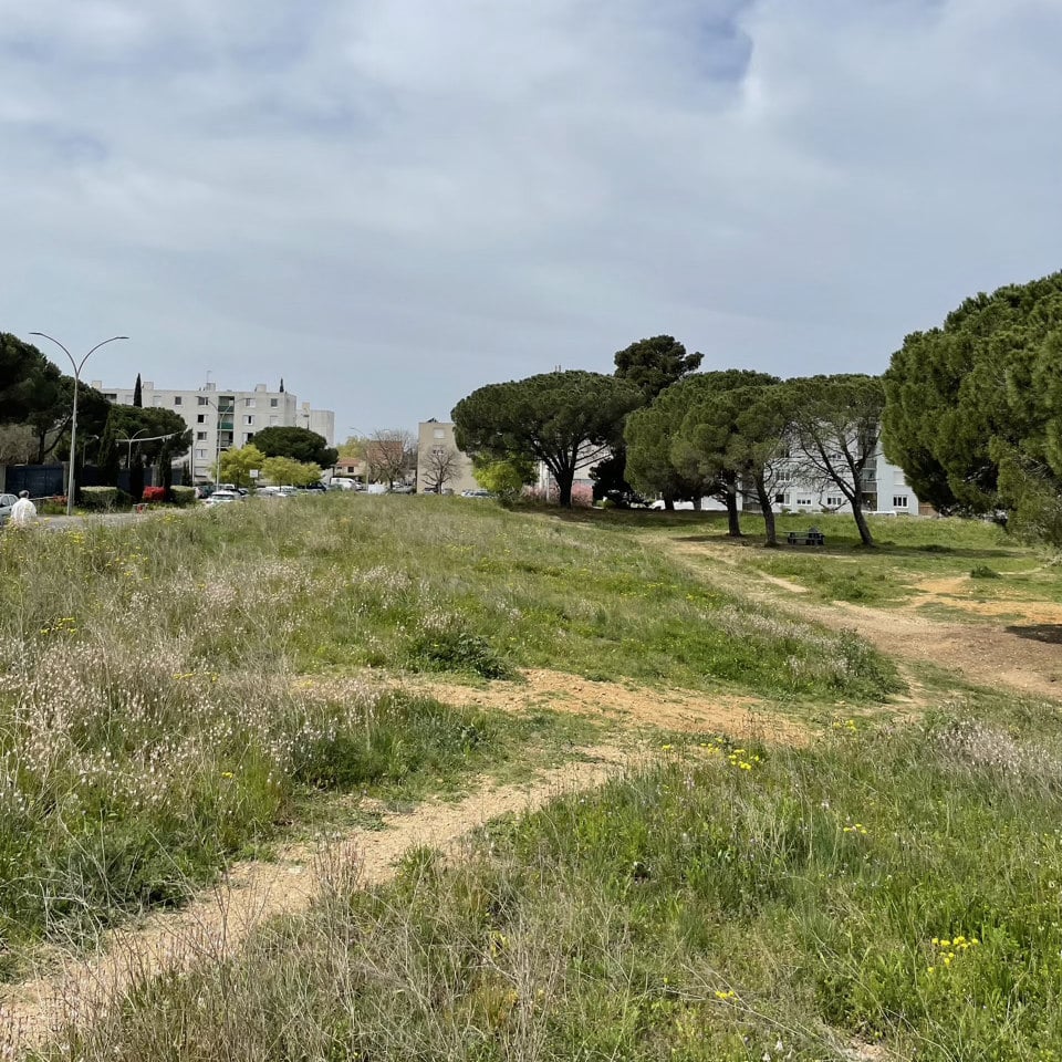 Diagnostic de pollution des sols dans le Gard (30) à Vauvert