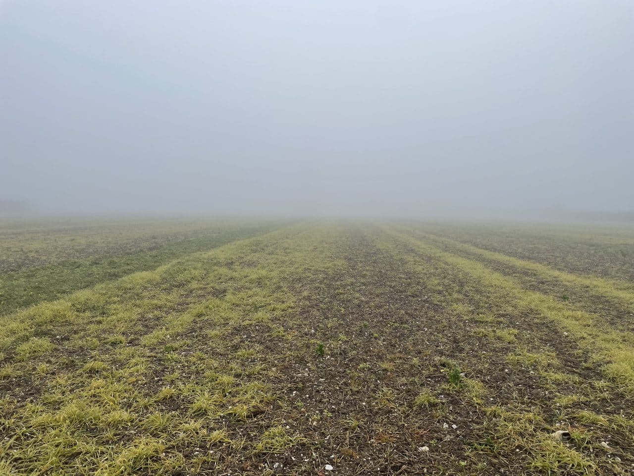 Diagnostic de pollution des sols pour l'implantation d'une société